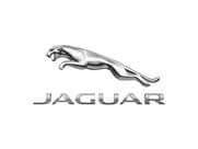 Jaguar spor yay